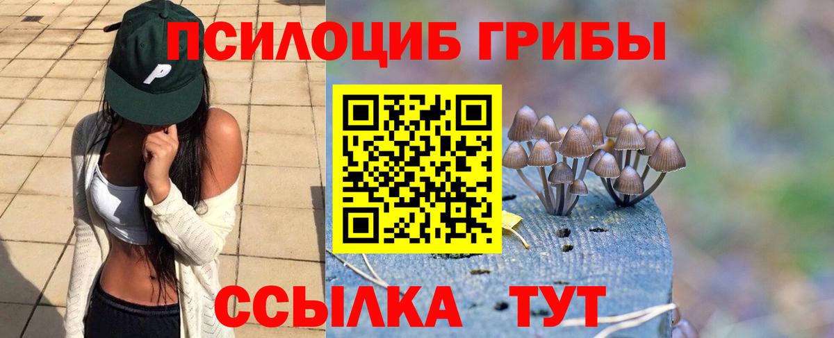 Галлюциногенные грибы мицелий Псков